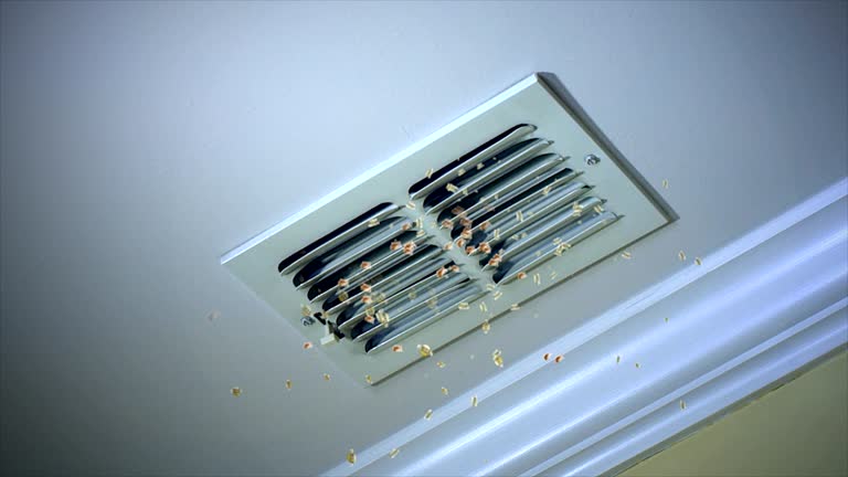 Best Best Air Duct Cleaning Company  in New Haven, WV