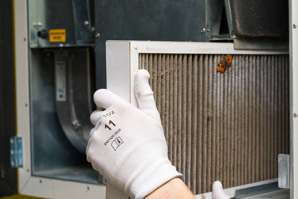 Best Professional Duct Cleaning Services  in New Haven, WV