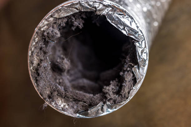 Best Home Air Vent Cleaning  in New Haven, WV