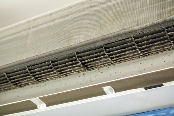 Best Affordable HVAC Duct Cleaning  in New Haven, WV